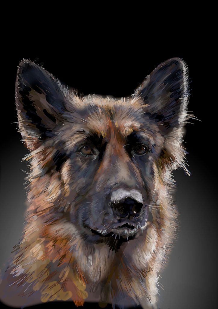 Alsatian illustration (digital)